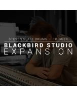 Steven Slate Blackbird Exp for SSD