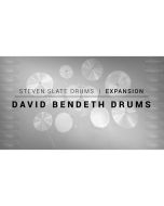 Steven Slate David Bendeth Exp for SSD