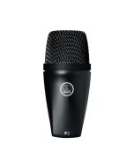 AKG P2 High-performance dynamic bass microphone