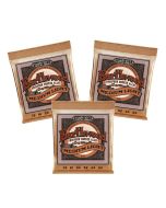Ernie Ball Earthwood 2146 Phosphor Bronze 3pk Medium/Light Strings 749699121466