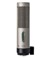 Royer Labs R-10 Ribbon Recording Microphone