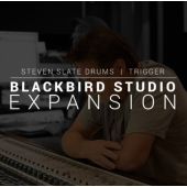 Steven Slate Blackbird Exp for SSD