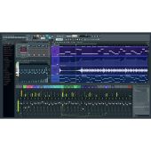 FL Studio 21 Producer Recording Software ( Electronic License ) 