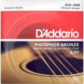 D'Addario EJ17 Guitar Strings - Phosphor Bronze Acoustic Guitar Strings 