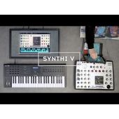 Arturia Synthi V EMS Virtual Synthesizer Software