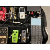 Pedaltrain Complete Guitar Pedal Board Pedals Included Hard Wired Used ( Ramon Stagnaro ) 