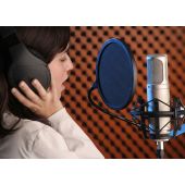 Rode K2 Vacuum Tube Condenser Microphone
