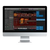 IK Multimedia MODO BASS