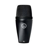 AKG P2 High-performance dynamic bass microphone