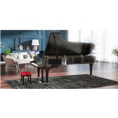 Arturia Piano V Virtual Piano Software Plug In 
