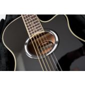 Gator GL-APX APX-Style Guitar Case