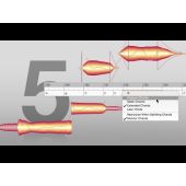 Celemony Melodyne 5 Essential Pitch Correction Software