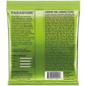 REGULAR SLINKY PARADIGM P02021 ELECTRIC GUITAR STRINGS 10-46 GAUGE