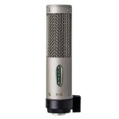 Royer Labs R-10 Ribbon Recording Microphone