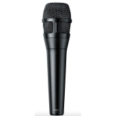 Shure NXN8/C Cardioid Dynamic Vocal Microphone for Professional Performance