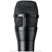 Shure NXN8/C Cardioid Dynamic Vocal Microphone for Professional Performance