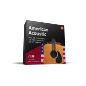 IK Multimedia American Acoustic Sample Tank Plug-in Software Electronic Delivery